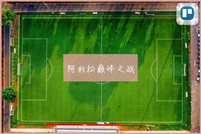 星空（中国） - 阿利松巅峰之战
