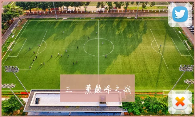 星空（中国） - 三笘薰巅峰之战