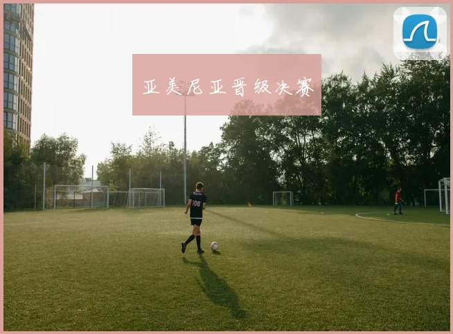 星空（中国） - 亚美尼亚晋级决赛