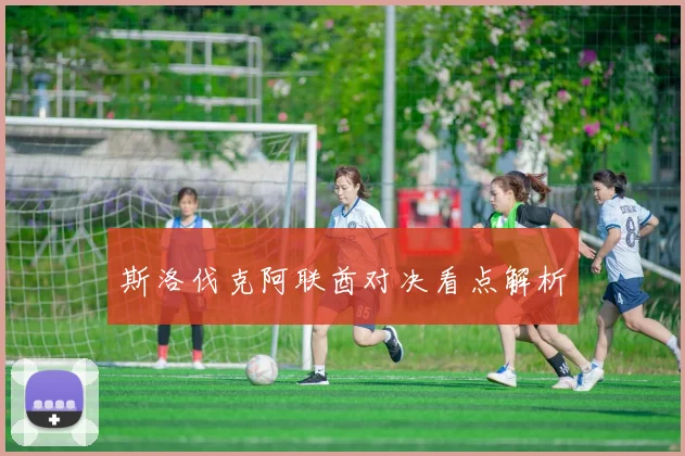 星空（中国） - 斯洛伐克阿联酋对决看点解析