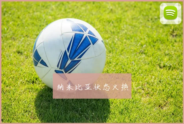 星空（中国） - 纳米比亚状态火热