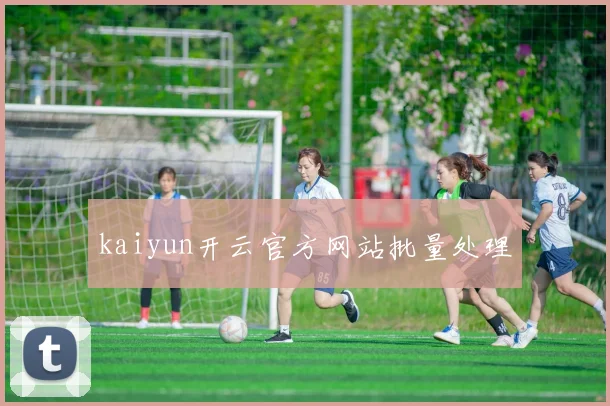 星空（中国） - kaiyun开云官方网站批量处理