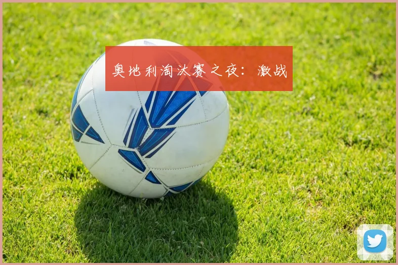 星空（中国） - 奥地利淘汰赛之夜：激战