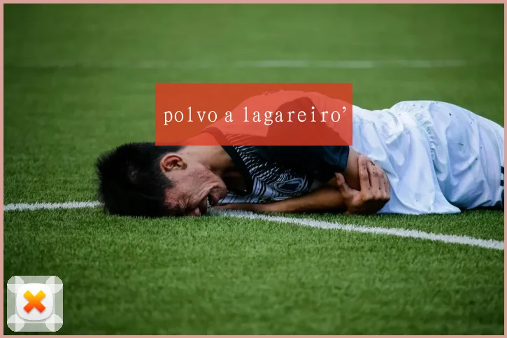 星空（中国） - polvo a lagareiro’