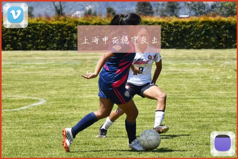 星空（中国） - 上海申花稳守反击