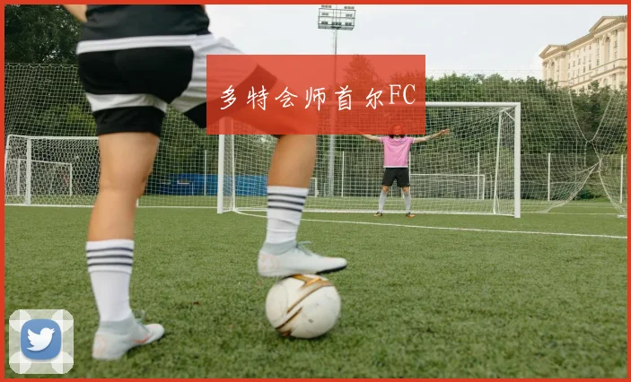 星空（中国） - 多特会师首尔FC