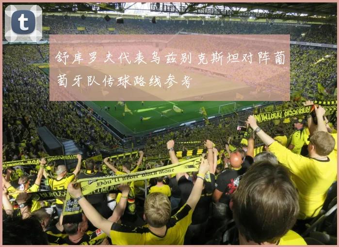 舒库罗夫代表乌兹别克斯坦对阵葡萄牙队传球路线参考