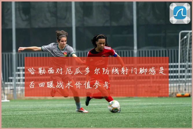 哈勒面对厄瓜多尔防线射门脚感是否回暖战术价值参考