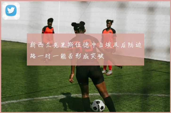 新西兰克里斯伍德冲击埃及后防边路一对一能否形成突破
